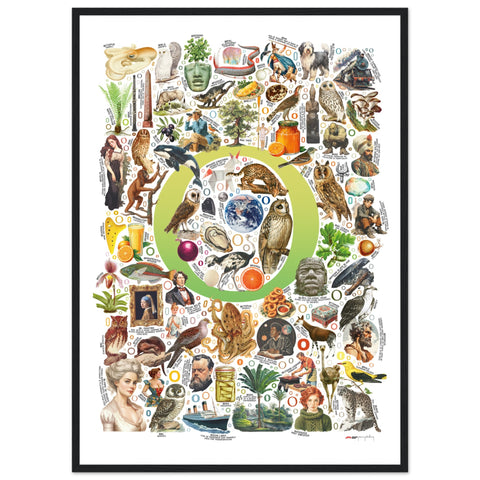 "O is for Original" — a Renard Roux alphabet poster with English O words (chartreuse version)