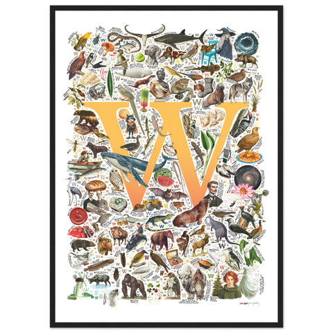 "W is for Wonder" — a Renard Roux alphabet poster with English W words (yellow version)