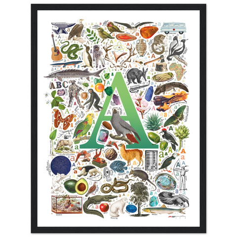 "A is for Adventure" — a Renard Roux alphabet poster with English A words (green version)
