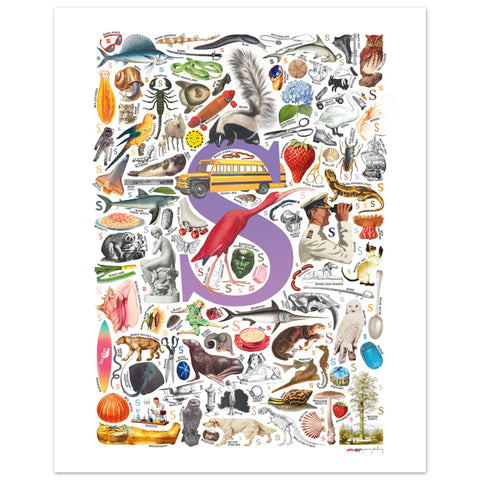 "S is for Surprise" — a Renard Roux alphabet poster with English S words (purple version)