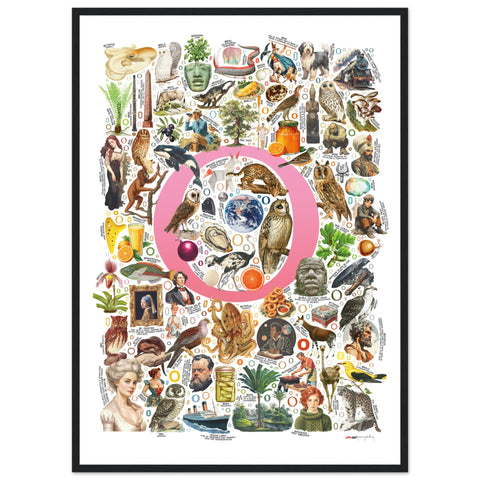 "O is for Original" — a Renard Roux alphabet poster with English O words (pink version)