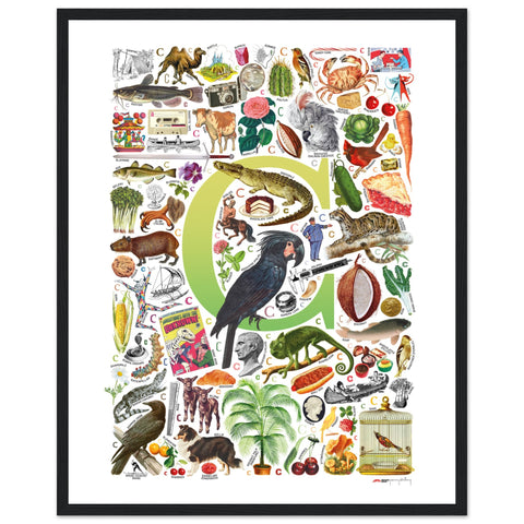 "C is for Curious" — a Renard Roux alphabet poster with English C words (chartreuse version)