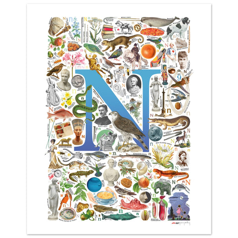 "N is for Nature" — a Renard Roux alphabet poster with English N words (blue version)
