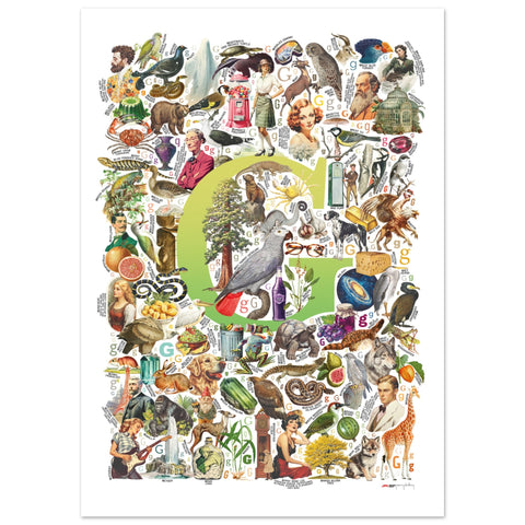 "G is for Great" — a Renard Roux alphabet poster with English G words (chartreuse version)