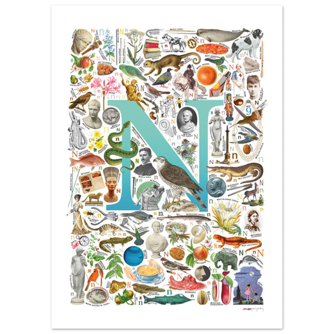 "N is for Nature" — a Renard Roux alphabet poster with English N words (turquoise version)