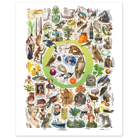 "O is for Original" — a Renard Roux alphabet poster with English O words (chartreuse version)