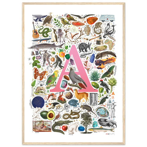 "A is for Adventure" — a Renard Roux alphabet poster with English A words (pink version)