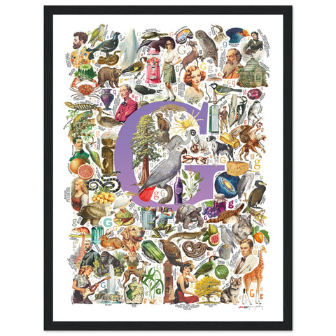 "G is for Great" — a Renard Roux alphabet poster with English G words (purple version)