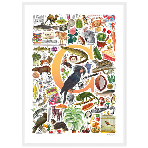 "C is for Curious" — a Renard Roux alphabet poster with English C words (yellow version)