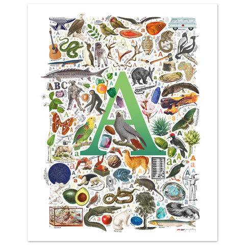 "A is for Adventure" — a Renard Roux alphabet poster with English A words (green version)