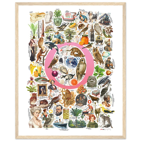 "O is for Original" — a Renard Roux alphabet poster with English O words (pink version)