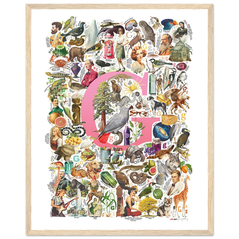 "G is for Great" — a Renard Roux alphabet poster with English G words (pink version)