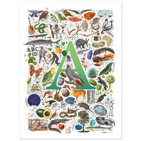 "A is for Adventure" — a Renard Roux alphabet poster with English A words (green version)