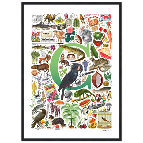 "C is for Curious" — a Renard Roux alphabet poster with English C words (green version)