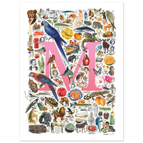 "M is for Magical" — a Renard Roux alphabet poster with English M words (pink version)