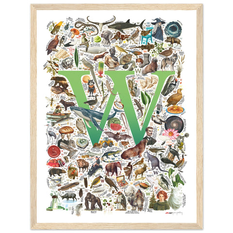 "W is for Wonder" — a Renard Roux alphabet poster with English W words (green version)