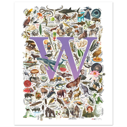 "W is for Wonder" — a Renard Roux alphabet poster with English W words (purple version)