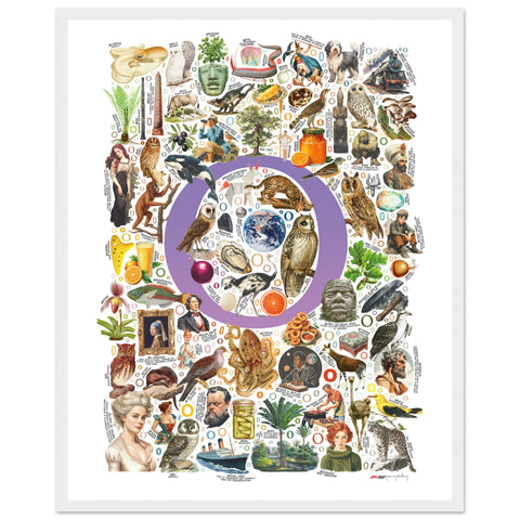 "O is for Original" — a Renard Roux alphabet poster with English O words (purple version)
