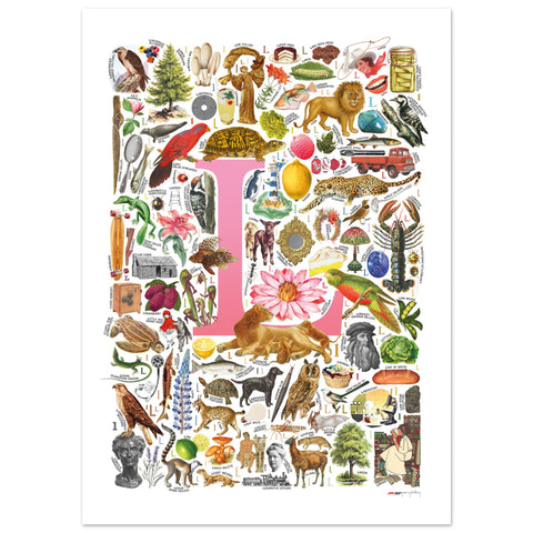 "L is for Learning" — a Renard Roux alphabet poster with English L words (pink version)