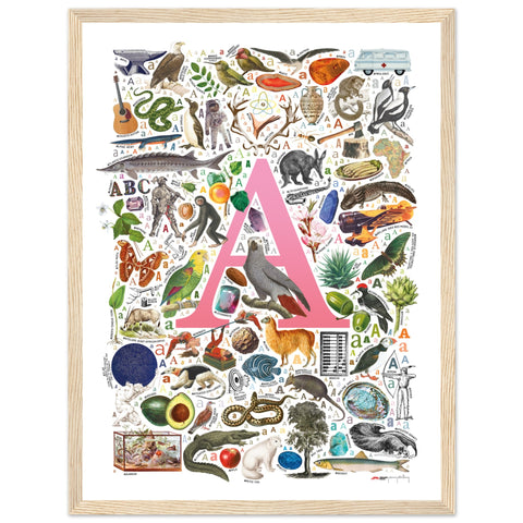 "A is for Adventure" — a Renard Roux alphabet poster with English A words (pink version)