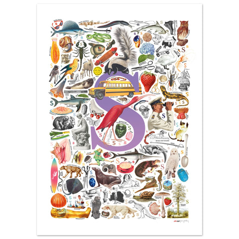 "S is for Surprise" — a Renard Roux alphabet poster with English S words (purple version)