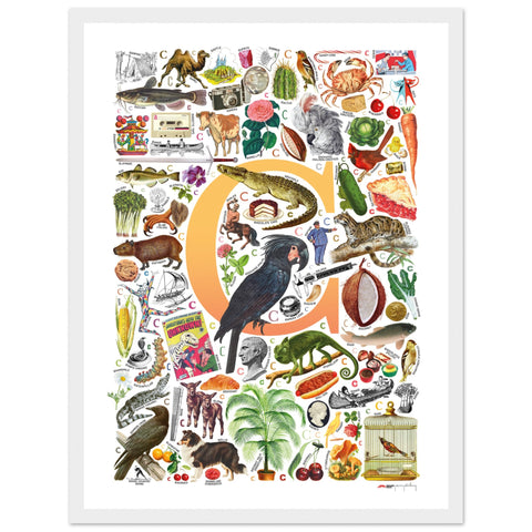 "C is for Curious" — a Renard Roux alphabet poster with English C words (yellow version)