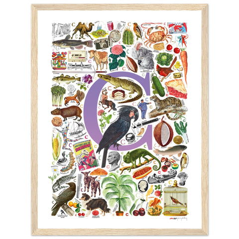 "C is for Curious" — a Renard Roux alphabet poster with English C words (purple version)