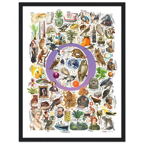 "O is for Original" — a Renard Roux alphabet poster with English O words (purple version)