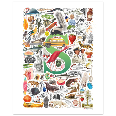 "S is for Surprise" — a Renard Roux alphabet poster with English S words (green version)