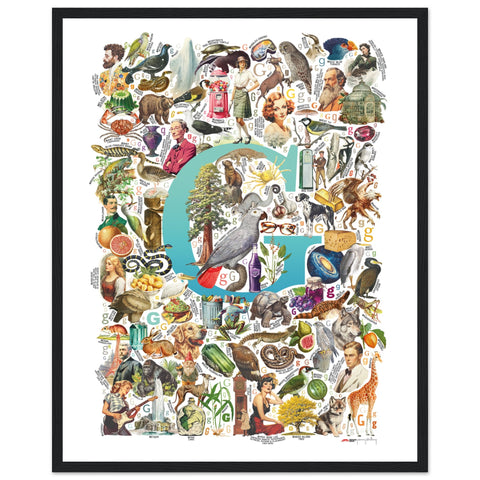 "G is for Great" — a Renard Roux alphabet poster with English G words (turquoise version)