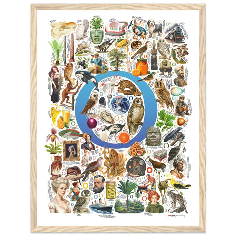 "O is for Original" — a Renard Roux alphabet poster with English O words (blue version)