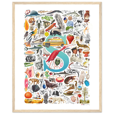 "S is for Surprise" — a Renard Roux alphabet poster with English S words (turquoise version)