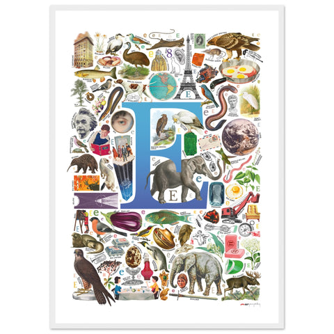 "E is for Explore" — a Renard Roux alphabet poster with English E words (blue version)