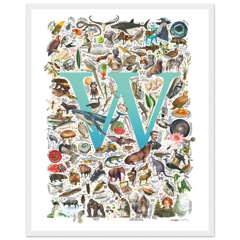 "W is for Wonder" — a Renard Roux alphabet poster with English W words (turquoise version)