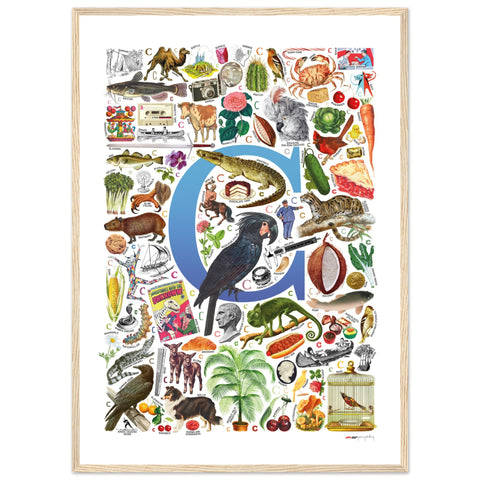 "C is for Curious" — a Renard Roux alphabet poster with English C words (blue version)