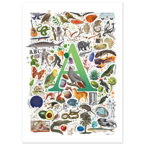 "A is for Adventure" — a Renard Roux alphabet poster with English A words (green version)