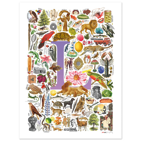 "L is for Learning" — a Renard Roux alphabet poster with English L words (purple version)