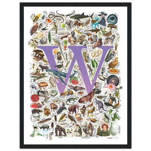 "W is for Wonder" — a Renard Roux alphabet poster with English W words (purple version)