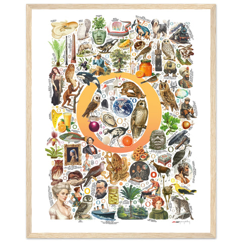 "O is for Original" — a Renard Roux alphabet poster with English O words (yellow version)