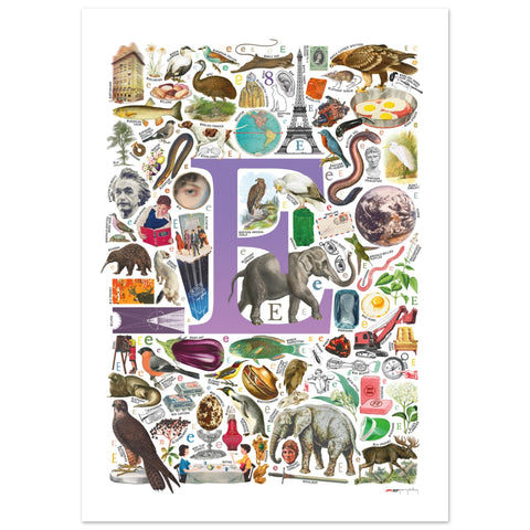 "E is for Explore" — a Renard Roux alphabet poster with English E words (purple version)