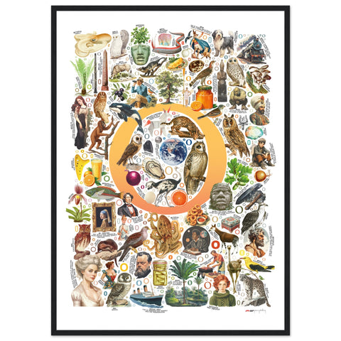 "O is for Original" — a Renard Roux alphabet poster with English O words (yellow version)