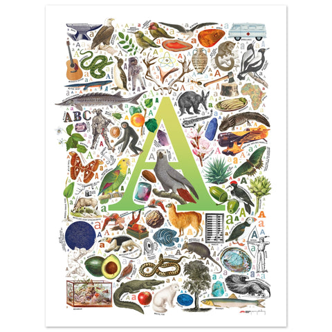"A is for Adventure" — a Renard Roux alphabet poster with English A words (chartreuse version)