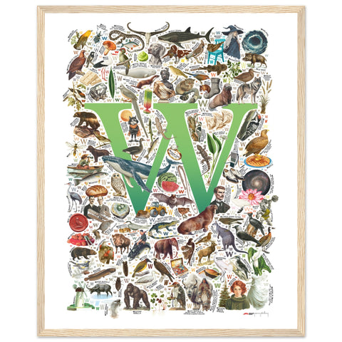 "W is for Wonder" — a Renard Roux alphabet poster with English W words (green version)