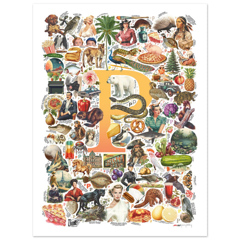"P is for Pioneer" — a Renard Roux alphabet poster with English P words (yellow version)