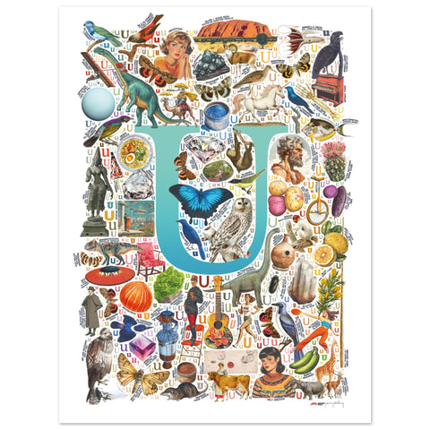 "U is for Unique" — a Renard Roux alphabet poster with English U words (turquoise version)