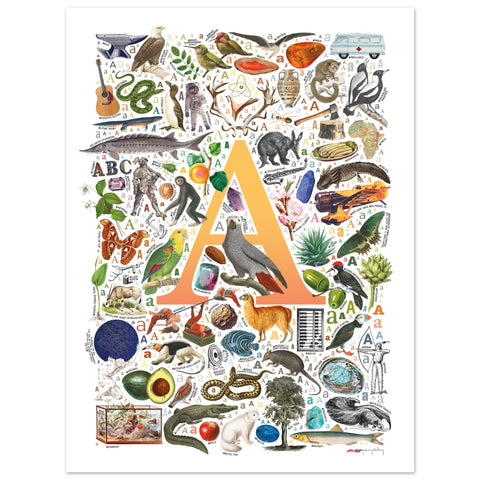 "A is for Adventure" — a Renard Roux alphabet poster with English A words (yellow version)
