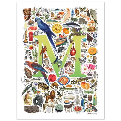 "M is for Magical" — a Renard Roux alphabet poster with English M words (chartreuse version)