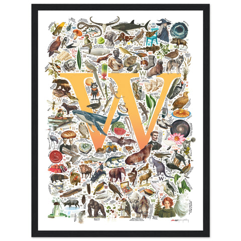 "W is for Wonder" — a Renard Roux alphabet poster with English W words (yellow version)