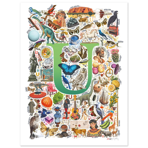"U is for Unique" — a Renard Roux alphabet poster with English U words (green version)