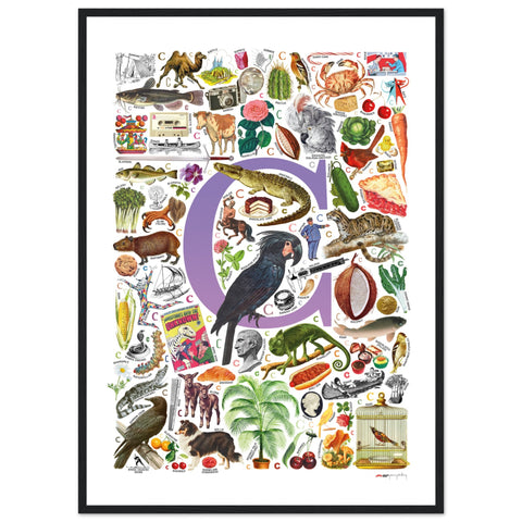 "C is for Curious" — a Renard Roux alphabet poster with English C words (purple version)